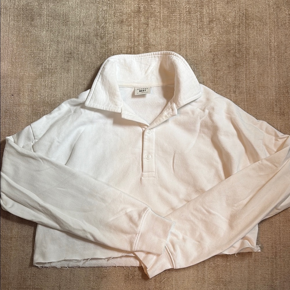 Aritzia Polo Sweatshirt